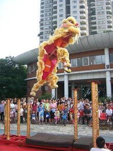 自制梅花桩图片,自制梅花桩图片赏析