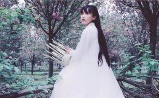 网红李子柒的简历,从田园生活博主到文化现象的崛起之路