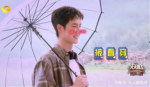天天向上小网红,网络红人的崛起与影响力